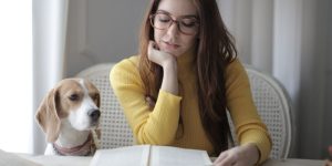 How a Security System Can Make You a Better Pet Parent